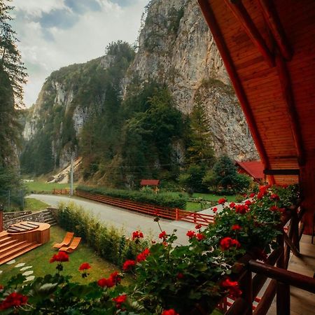 Casa Cheile Dambovicioarei - Cabana 2 Dîmbovicioara エクステリア 写真