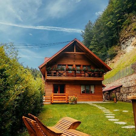 Casa Cheile Dambovicioarei - Cabana 2 Dîmbovicioara エクステリア 写真