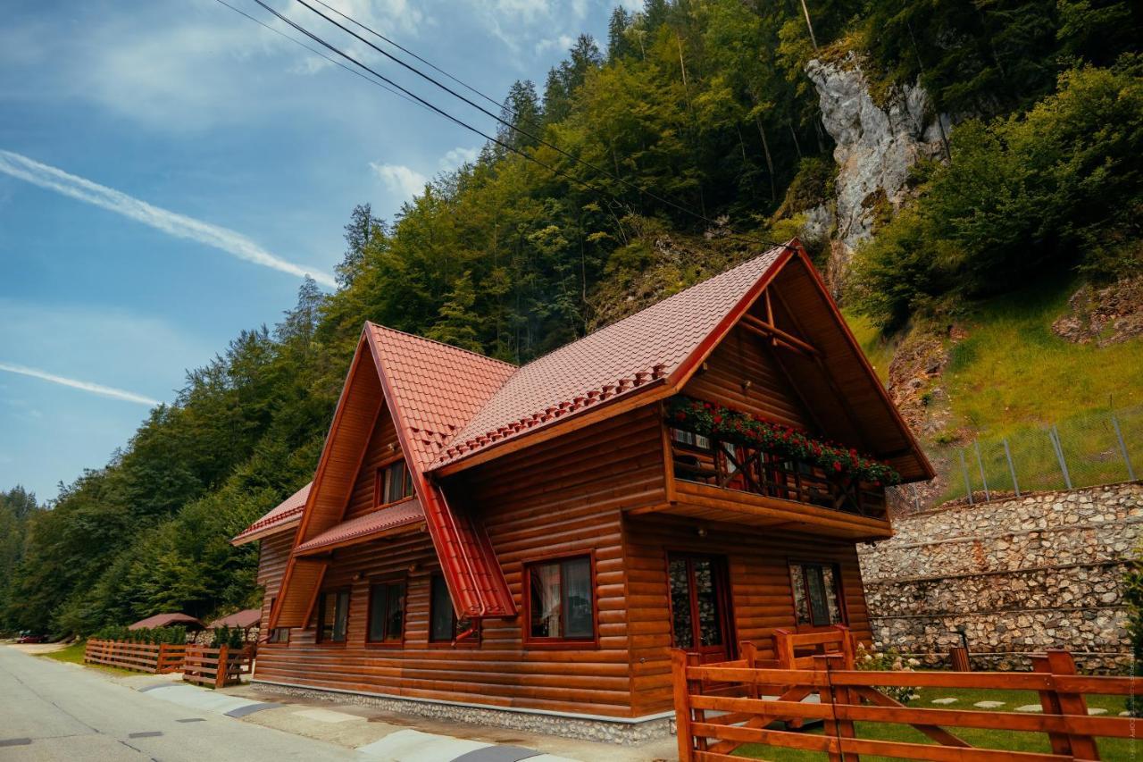 Casa Cheile Dambovicioarei - Cabana 2 Dîmbovicioara エクステリア 写真