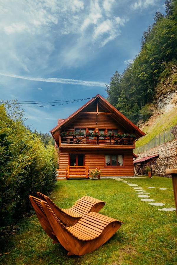Casa Cheile Dambovicioarei - Cabana 2 Dîmbovicioara エクステリア 写真